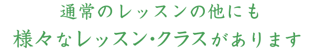 様々なレッスンを行っています。